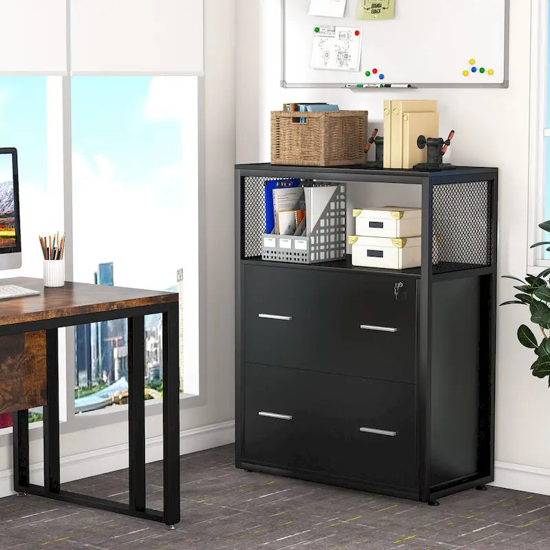 2-Drawer Lateral File Cabinets Legal Size, Large Filing Cabinet with Lock, Printer Stand